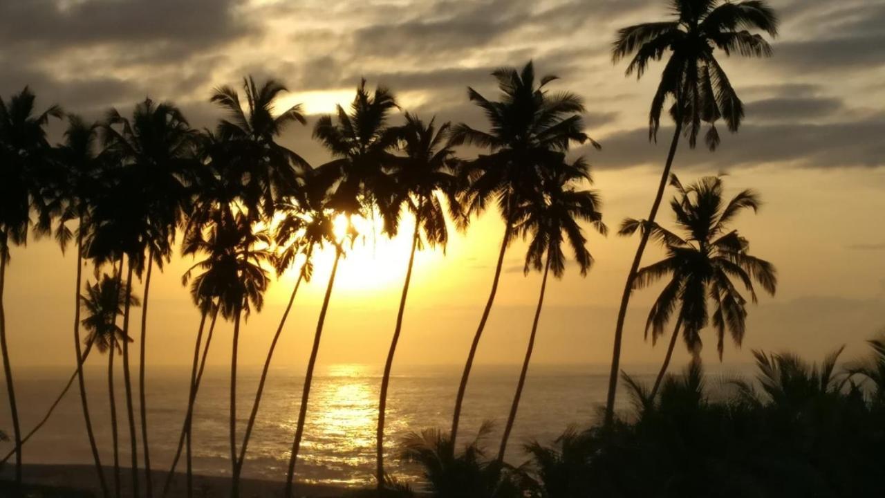 Afiki Hotel Elmina Eksteriør billede